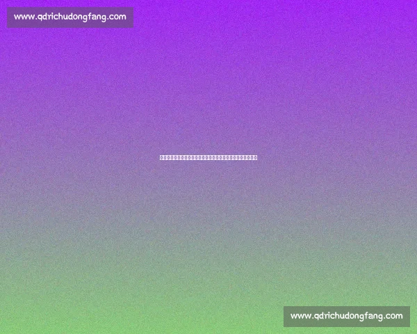 回望二零零四年火箭对阵马刺高清经典对决姚邓巅峰时刻全纪录