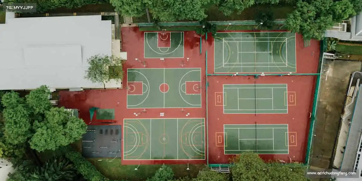 <strong>b体育官网</strong>踏上赛场，你就是自己的冠军！🏆